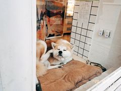 -餐酒吧Com-ing Bar(上海路店)