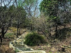 -香山公园