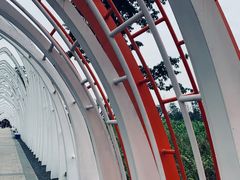 -白鹭湾湿地公园