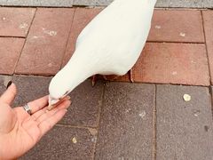 -音乐台