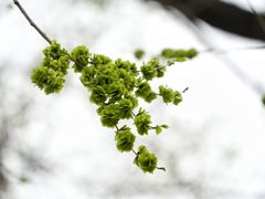 -国家植物园