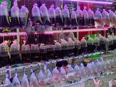 -华声天桥民俗文化园