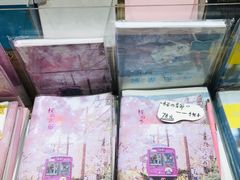 -猫的天空之城概念书店(苏州平江店)
