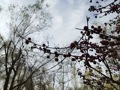 -水磨沟公园