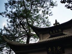 -遂昌金矿国家矿山公园