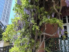 -中山路壹号传奇club·啤酒花园餐厅
