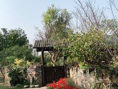 -鹅湖玫瑰文化园