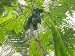 -北京植物园-展览温室