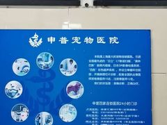 -申普宠物医院·眼科·心内科·影像科(普陀分院)