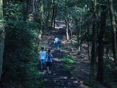 -西湖风景区十里琅珰-五云山