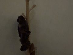 -筋骨堂热敷推拿按摩(翠华路店)