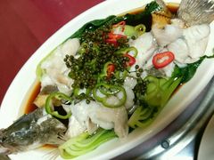 清蒸鲈鱼-胖子菜馆(隆昌路店)