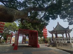 -东山风动石景区