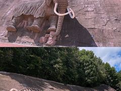 -哈尔滨北方森林动物园