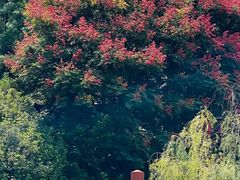 -昆明市金殿名胜区