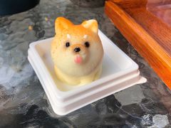 -柴犬高等学院·狗咖·柴犬售卖·宠物训练