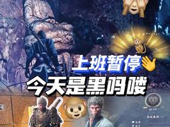 -Sony Store 索尼(上海淮海中路店)