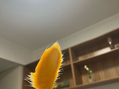 -郑州东站