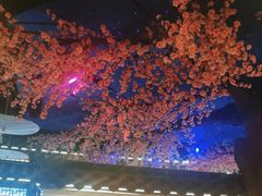 -荷塘秋月·本帮江浙菜(国权路店)