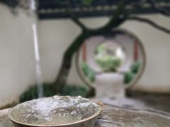 -虎跑公园