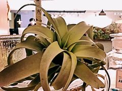 -娜娜家•Nana’Garden (福州道店)