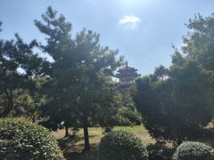 -二一九公园