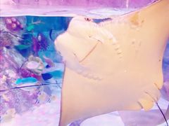 -沈阳海洋探索中心