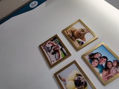 -维乐口腔(格林门诊长宁店)