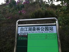 -广州白江湖森林公园