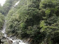 -九龙江国家森林公园