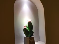 -禧瑞 ·丝浴主题·水疗·spa(中山公园店)