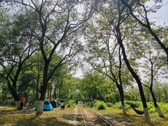 -永定河休闲森林公园