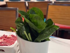 -八合里潮汕鲜牛肉火锅(吉大店)