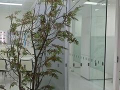 -极简口腔(总院)