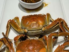 -吉香碳烤生蚝(仙霞路店)