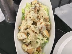 -百好乐宠物友好餐厅(朝外大街店)