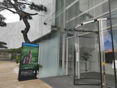 -罗红摄影艺术馆