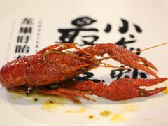 -龙巢盱眙龙虾·牛蛙·烧烤宵夜(八卦岭店)