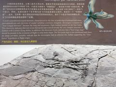 -辽宁古生物博物馆