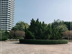 -紫马岭公园