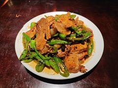 回锅肉-陈麻婆豆腐总店