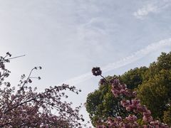 -惠山国家森林公园
