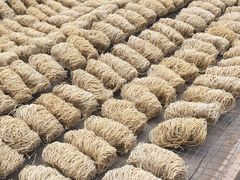 -西关竹园(荔枝湾店)