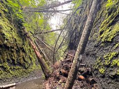 -峡谷浮石林景区