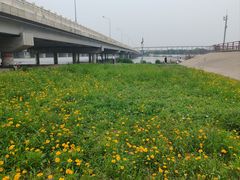 -绿堤公园