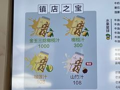 -野萃山·潮汕厚果汁(十亩地店)