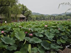 -承德避暑山庄景区