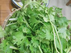 -牧人巷子·大锅羊汤·暴走牛骨(大成路店)