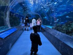 -海合安成都极地海洋公园