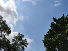 -海珠湖公园